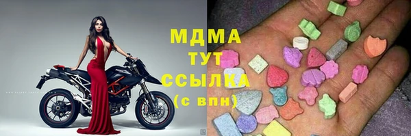 стаф Богданович