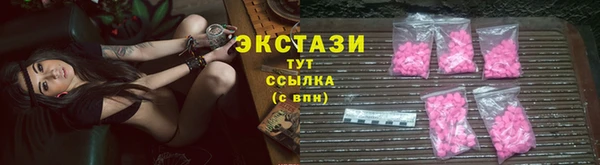 стаф Богданович